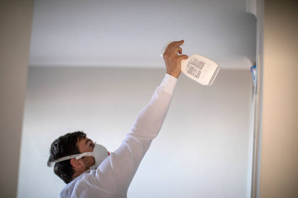 Best Mold Remediation  in Luckey, OH