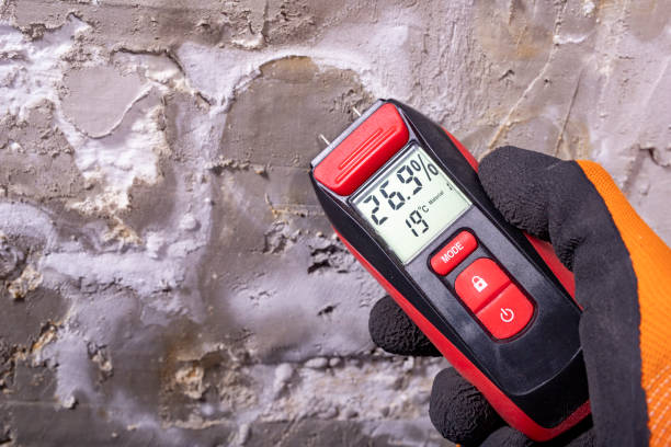 Best Mold Cleaning Services  in Luckey, OH