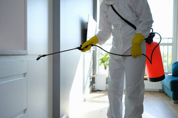 Professional Mold Removal in Luckey, OH