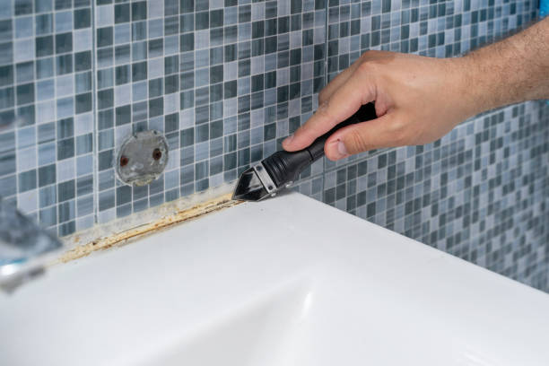 Best Best Mold Removal Companies  in Luckey, OH